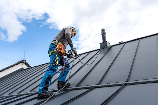 Best Chimney Flashing Repair  in Forsyth, IL