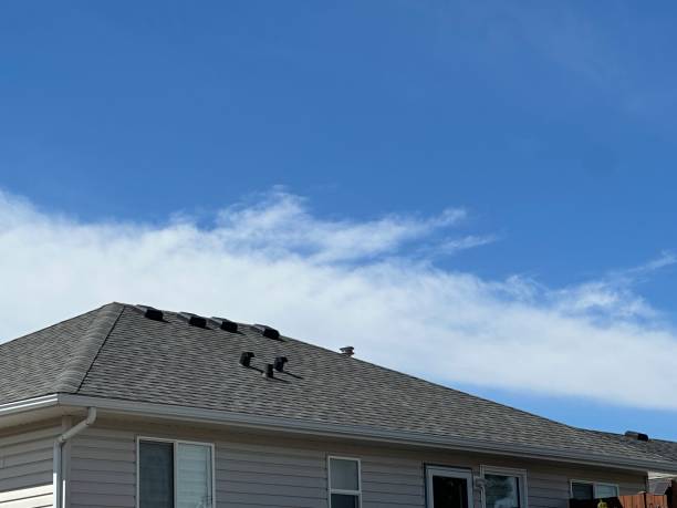 Professional Roofing in Forsyth, IL